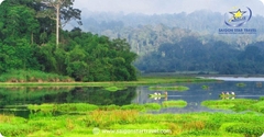Tour Rừng Nam Cát Tiên 2 Ngày 1 Đêm | Trekking Bàu Sấu