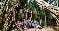 Tour Rừng Nam Cát Tiên 2 Ngày 1 Đêm | Trekking Bàu Sấu
