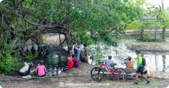 Tour Rừng Nam Cát Tiên 2 Ngày 1 Đêm | Trekking Bàu Sấu