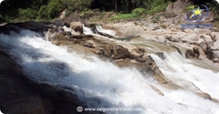 Tour Rừng Nam Cát Tiên 2 Ngày 1 Đêm | Trekking Bàu Sấu