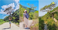 Tour Nam Du 3 Ngày 3 Đêm Tết Nguyên Đán