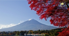 Tour du lịch Nhật Bản 5N5Đ - Osaka- Kyoto - Núi Phú Sĩ - Tokyo