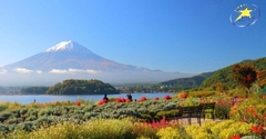 Tour Du Lịch Nhật Bản 4 Ngày 3 Đêm - Tokyo - Núi Phú Sĩ - Onsen