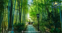 Tour du lịch Nhật Bản 5N5Đ - Osaka- Kyoto - Núi Phú Sĩ - Tokyo