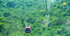Tour Mũi Né 3 Ngày 2 Đêm Tết Nguyên Đán