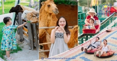 Tour Phan Thiết Mũi Né 3 ngày 2 đêm giá rẻ, trọn gói - Khởi hành từ TPHCM