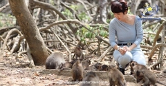 Tour Cần Giờ 1 Ngày - Khám Phá Rừng Ngập Mặn & Biển 30/4