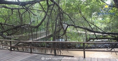 Tour Măng Đen - Kom Tum - Gia Lai - Buôn Mê Thuột - 4N4Đ