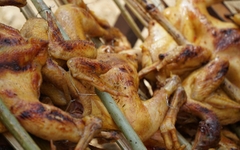 Tour Tà Đùng 2 Ngày 1 Đêm từ TpHCM | Khám phá “Vịnh Hạ Long” Tây Nguyên