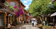 Tour Côn Minh – Đại Lý – Lệ Giang 6N5Đ | No Shopping, Núi Tuyết Ngọc Long