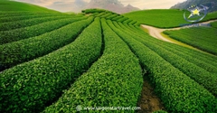 TOUR HÀ NỘI HÀ GIANG SAPA FANSIPAN 5N4Đ