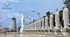 Tour Team Building Hồ Tràm 1 Ngày | Chơi Hết Mình – Giá Ưu Đãi