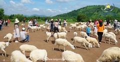 Tour Long Hải 2 Ngày 1 Đêm