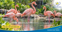 Vé Vinpearl Safari Phú Quốc: Giá Vé Và Thông Tin Tham Quan