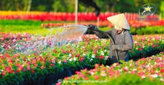 Tour Du Lịch Đồng Tháp 1 Ngày | Trải Nghiệm Hấp Dẫn, Giá Cực Ưu Đãi