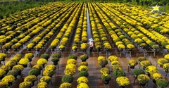 Tour Đồng Tháp 1 Ngày - Du Lịch Tết 2024
