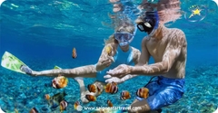 Tour Nha Trang – Đà Lạt 5N4Đ: Chơi Hết Mình Dịp Lễ 30/4, Giá Cực Tốt