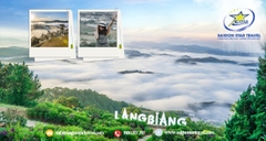 Tour Đà Lạt 3 Ngày 2 Đêm | Khám Phá Mongo Land, Santem Hills, Chek-in Cực Chất, Hot [2025]