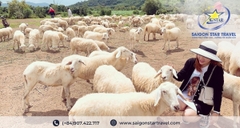 Tour Bến Tre Vũng Tàu 2 Ngày 1 Đêm Trọn Gói | Chương Trình Hấp Dẫn - Check-in Cực Chill