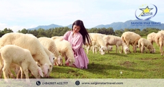 Tour Tây Ninh Vũng Tàu 2 Ngày 1 Đêm Trọn Gói | Khởi Hành Từ Tây Ninh Cho Khách Đoàn, Doanh Nghiệp