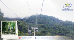 Tour Núi Chứa Chan 1 Ngày Từ TpHCM | Trekking Gia Lào, Săn Mây, Check-in Đỉnh Núi