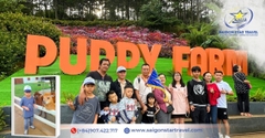 Tour Đà Lạt 3 Ngày 3 Đêm Từ TpHCM Bằng Xe Giường Nằm