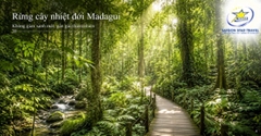 Tour Madagui 2 Ngày 1 Đêm Từ TpHCM Cho Nhóm Khách Đi Riêng