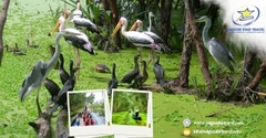 Tour Du Lịch Miền Tây 4 Ngày 3 Đêm - Khám Phá 7 Tỉnh Miền Tây