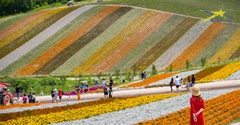 Tour Du Lịch Nhật Bản 6 Ngày 6 Đêm