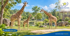 Vé Combo VinWonders Và Vinpearl Safari Phú Quốc