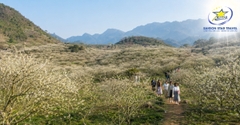 Tour Vòng Cung Tây Bắc 4N3Đ Từ TpHCM: Sapa - Điện Biên - Mộc Châu