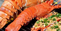 Tour Du Lịch Tết Bình Hưng Nha Trang 3N3Đ