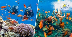 Tour Cano 4 Đảo Phú Quốc & Cáp Treo Hòn Thơm 1 Ngày