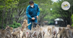 Tour Du Lịch Cần Giờ 1 Ngày - Khám Phá Đảo Khỉ - KDL Rừng Vàm Sát