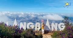Tour Du Lịch Đà Lạt Tết Nguyên Đán 3 Ngày 2 Đêm