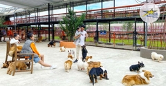 Tour Du Lịch Đà Lạt 4 Ngày 3 Đêm Mới Nhất