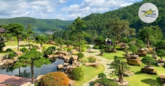 Tour Du Lịch Đà Lạt 4 Ngày 3 Đêm Mới Nhất