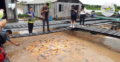 Tour Du Lịch Trải Nghiệm - Du Thuyền 5 Sao Khám Phá Sông Mekong - 3 Ngày 2 Đêm