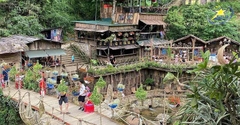 Tour Hà Nội - Sapa - Hạ Long - Ninh Bình 5N4Đ - Tết Nguyên Đán