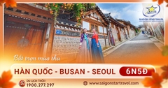 Tour Hàn Quốc - Busan - Daegu - Seoul 6 Ngày 5 Đêm