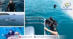 Tour Lặn Biển Nha Trang 1 Ngày | Scuba Diving Bãi Tranh Trọn Gói