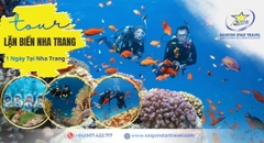 Tour Lặn Biển Nha Trang 1 Ngày | Scuba Diving Bãi Tranh Trọn Gói