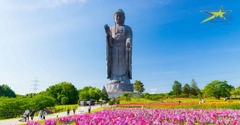 Tour Nhật Bản 4N4Đ - Narita – Tokyo – Yamanashi – Ibaraki