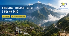 Tour Sapa - Fansipan - Cát Cát - Ô Quy Hồ 4N3Đ Từ TpHCM