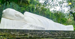 Tour Mũi Né 3 Ngày 2 Đêm Tết Nguyên Đán
