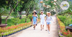 Vé Đảo Hoa Lan