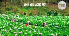 Vé Thung Lũng Tình Yêu Mộng Mơ