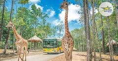 Vé Vinpearl Safari Phú Quốc