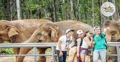 Vé Vinpearl Safari Phú Quốc