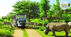Vé Vinpearl Safari Phú Quốc